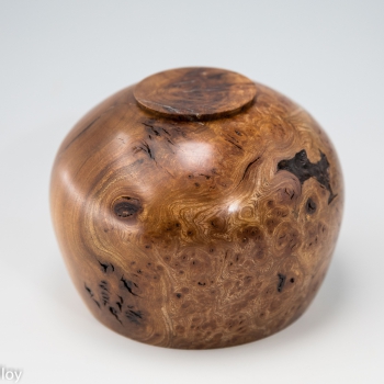 Elm-Burr-Bowl-Turned-Wood-5-of-5