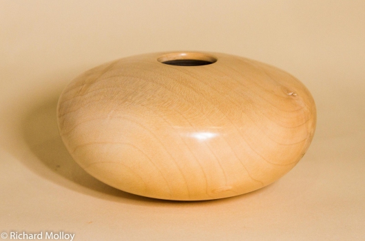 Sycamore hollow form